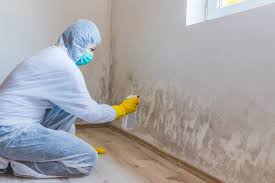 Why You Should Choose Our Mold Remediation Services in Canastota, NY