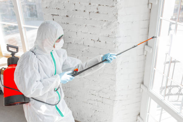 Best Biohazard Mold Removal in Canastota, NY