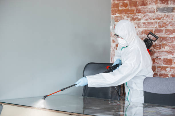 Best Asbestos and Lead Testing During Mold Inspection in Canastota, NY